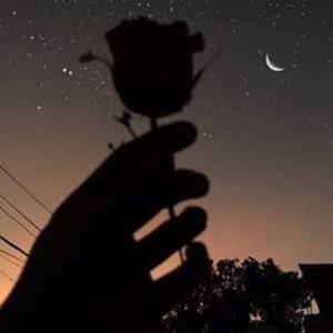 ChineseLESBIANXXXXHD118
